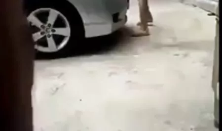 Dwie seks analny filmy piękne kobiety grają z mlekiem