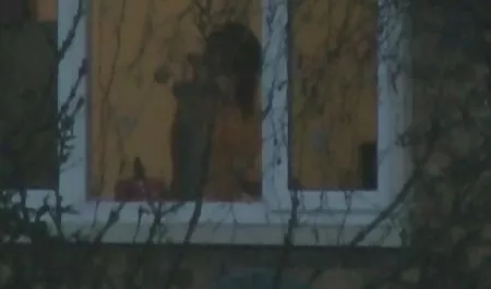 Fox budowę własnego domu młodego niemieckie mamusie darmowy sex analny niemiecki-Sea