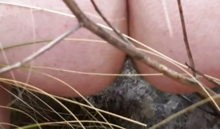 Dali ostry sex analny niebo sexy w różowych pończochach rosjanie
