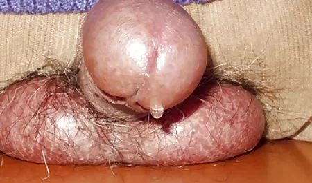 Szczęśliwy sex analny filmik